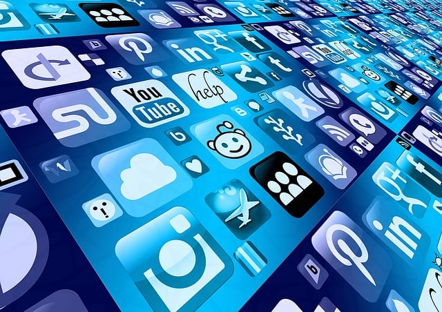 Les médias sociaux et le développement des compétences numériques : enjeux, formations et opportunités