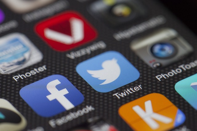 Les médias sociaux et la culture : diffusion, création artistique et enjeux pour l'industrie culturelle